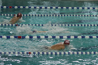 九游网页版官网-“世界游泳锦标赛：2025新加坡赛场泳池掀起速度与优雅的碰撞”