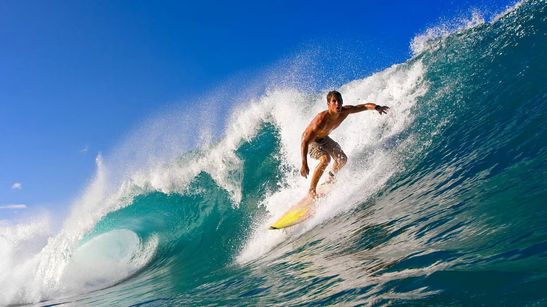 以“坚韧不拔”为主题的青少年篮球励志故事在全国广泛流传,篮球励志人物